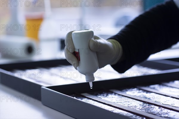 Sample processing with marker application in a histology laboratory
