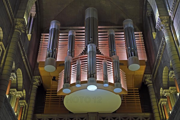 Organ