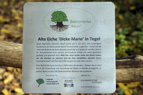 Information board for the Dicke Marie