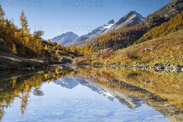 Grundsee
