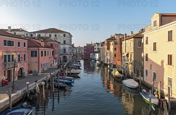 Canal Vena