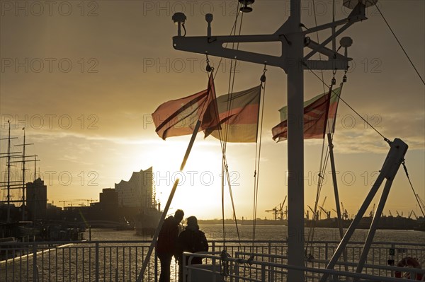 Elbe Philharmonic Hall in the morning light