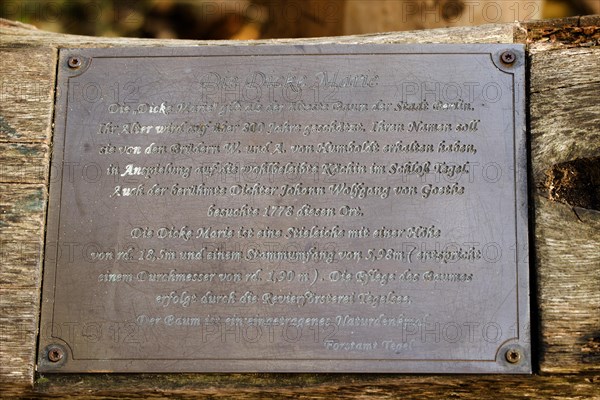 Information board for the natural monument