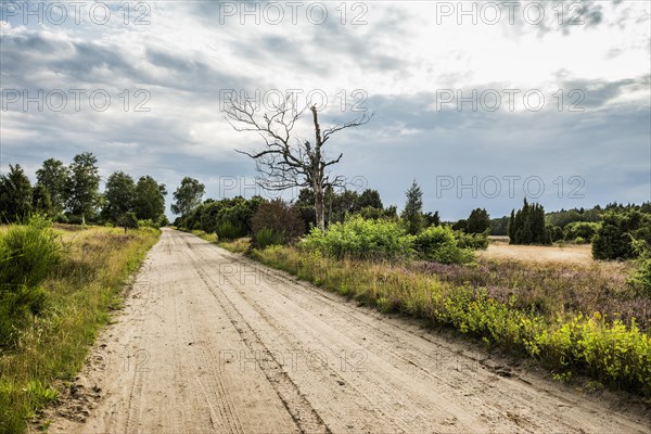 Sandstrasse