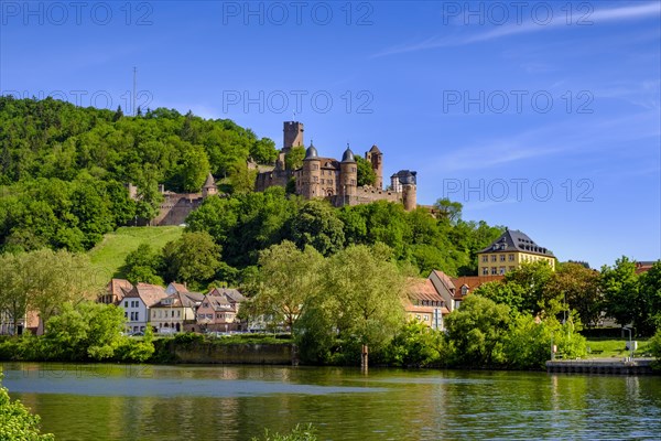 Old town with castle over the Main