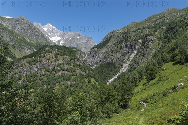Landscape with the Wannenhorn from the hiking trail between Bellwald and Aspi-Titter suspension bridge