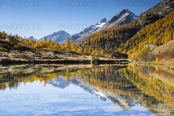 Grundsee