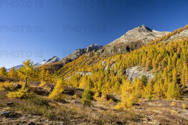 Fafleralp in the Loetschental