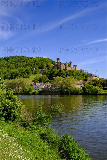 Old town with castle over the Main