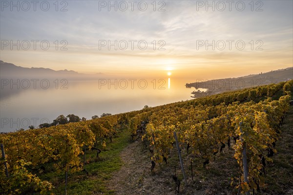 View of vineyards and Lake Geneva from the winegrowing village of Epesses