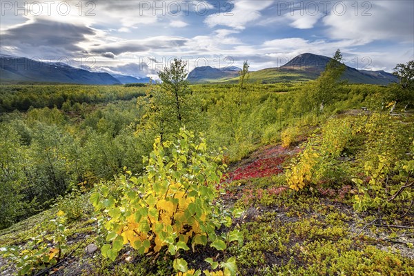 Autumnal fell landscape