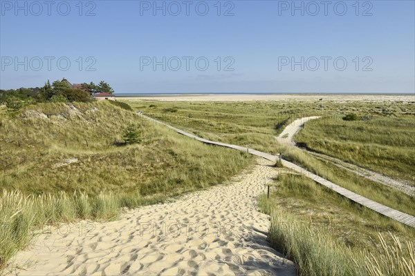 Dune paths near Wittduen