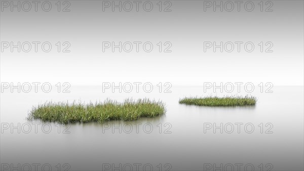Grass islands on the tidal flats near Keitum on Sylt