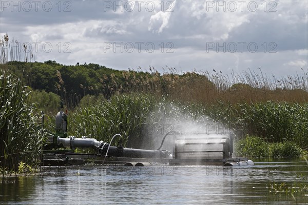 Water filter plant in the Peene Valley River Landscape nature Park