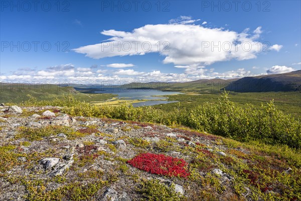 View of the Visttasjohka river delta and Lake Paittasjaervi