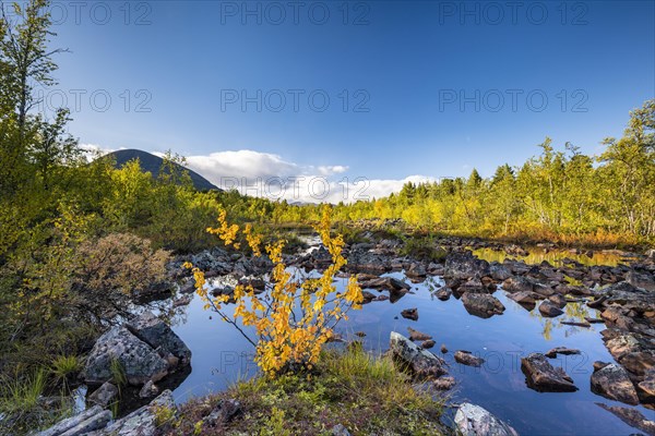 Autumn landscape in the Visttasjohka river delta