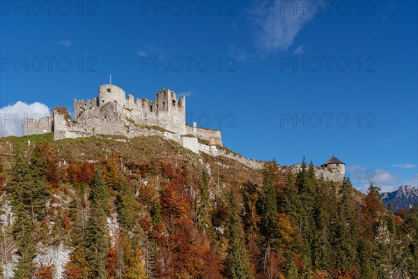 Ehrenberg Castle Ruin