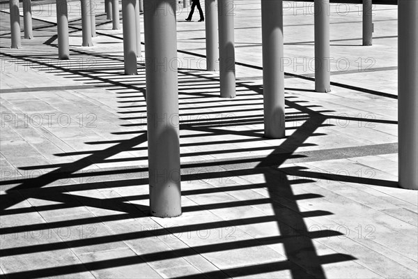 Shadow play
