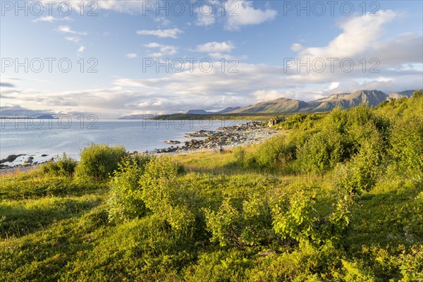 Coast near Lattervik