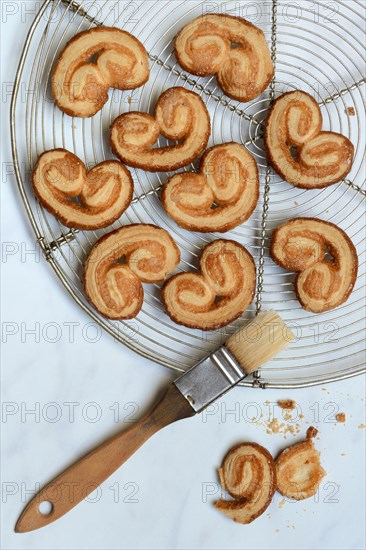 Prussia on baking rack