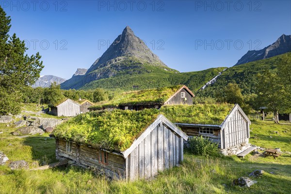 Traditional houses