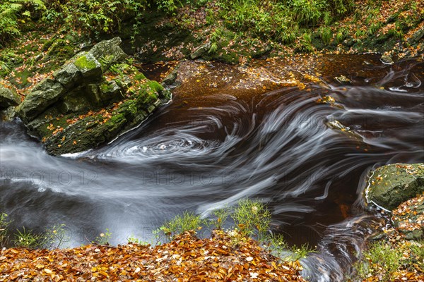 Mountain stream La Hoegne