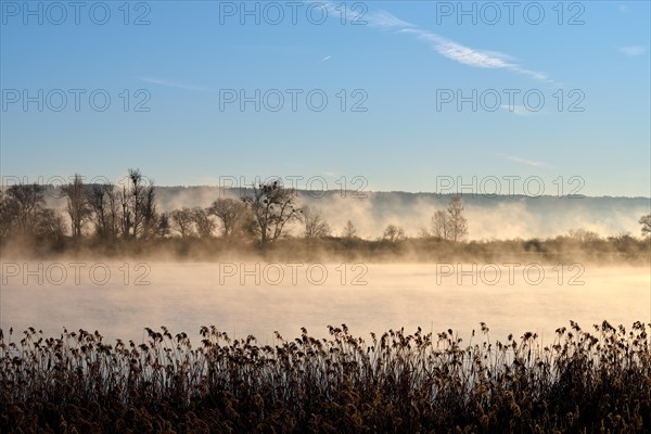 Lake Ammer in the morning with fog