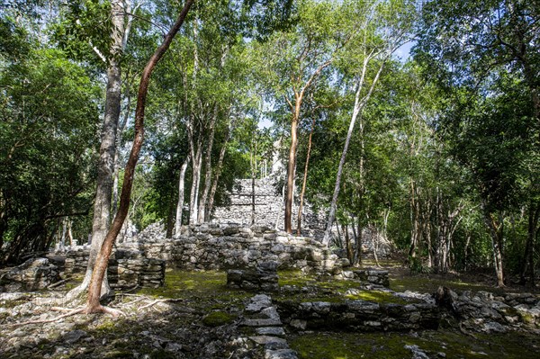 The archeological Maya site Coba