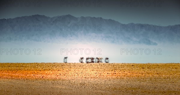 The Ikh Bogd mountain in summer with mirage. Bayanhongor Province