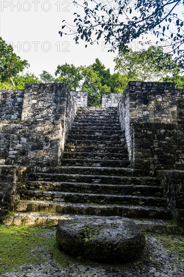 Unesco world heritage site Calakmul