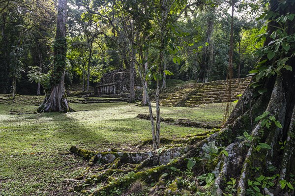 Archeological Maya site Yaxchilan in the jungle of Chiapas