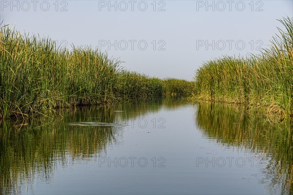 The Mesopotamian Marshes