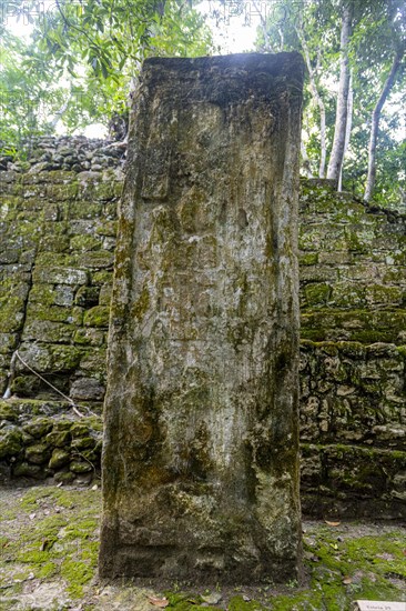 Unesco world heritage site Calakmul