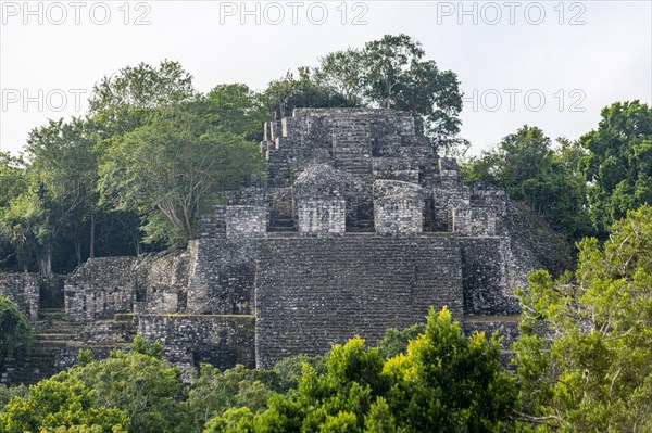 Unesco world heritage site Calakmul