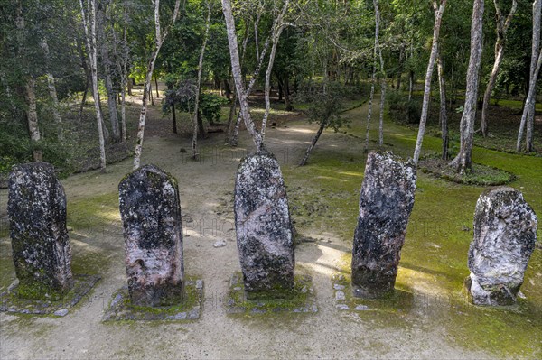 Unesco world heritage site Calakmul