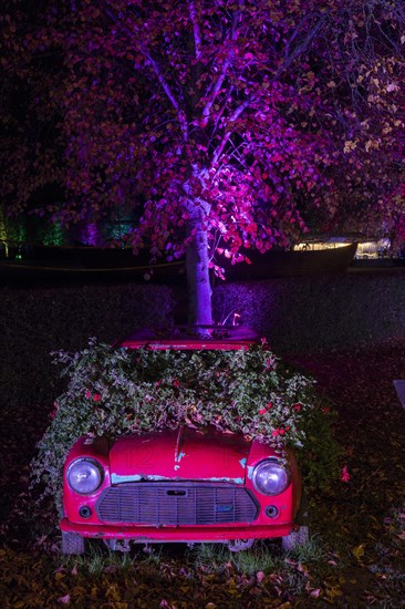 Autumn Lights in the Bridgehead Park