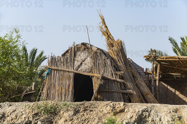 Traditional reed house