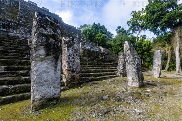 Unesco world heritage site Calakmul