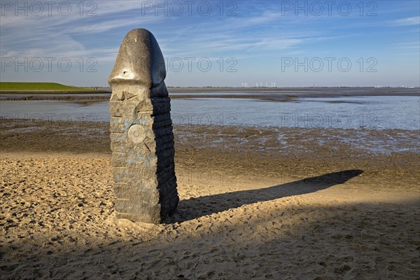 Stone penis