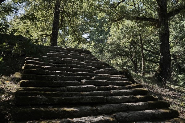 Old stone staircase