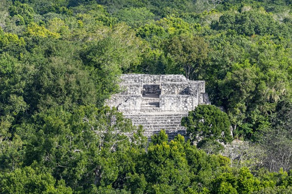 Unesco world heritage site Calakmul