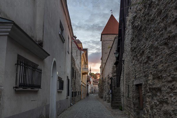 Epping Tower and alley Laboratooriumi on the city wall