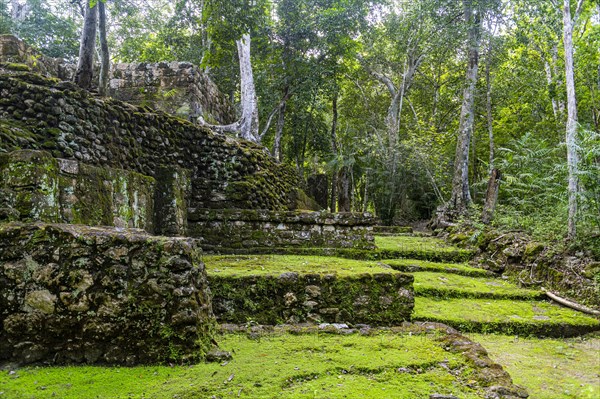 Unesco world heritage site Calakmul