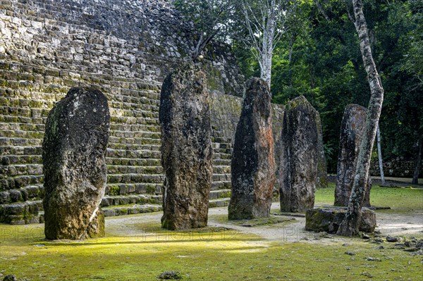 Unesco world heritage site Calakmul
