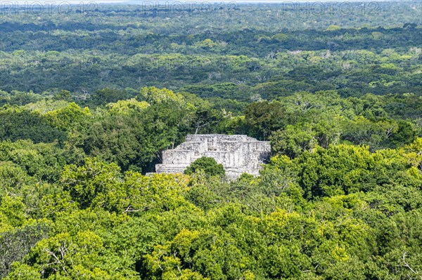 Unesco world heritage site Calakmul