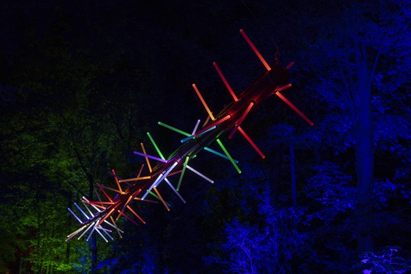 Autumn Lights in the Bridgehead Park