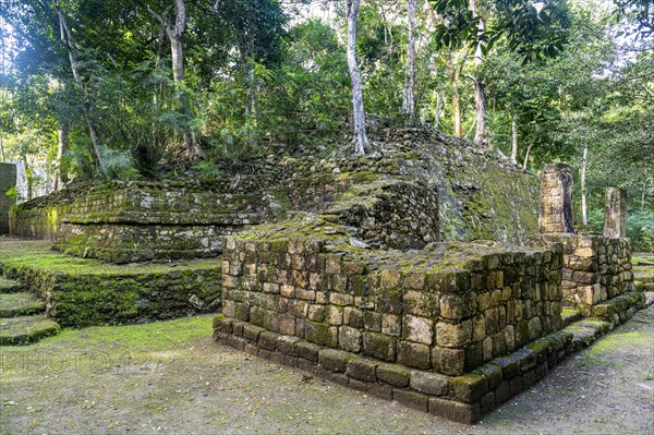 Unesco world heritage site Calakmul