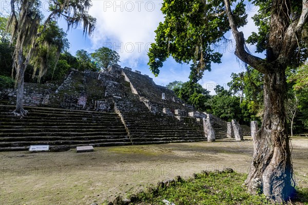 Unesco world heritage site Calakmul