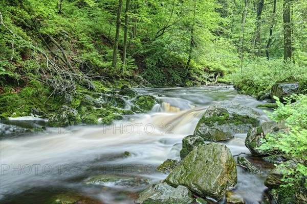 Stream course of the Hoegne