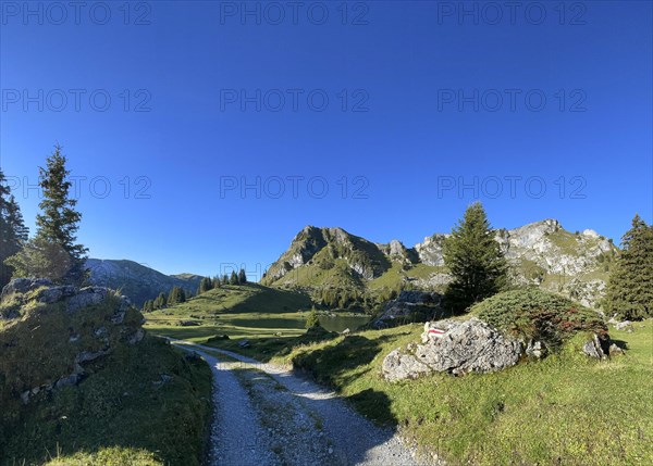 Hiking trail marking on a stone at Seebergsee